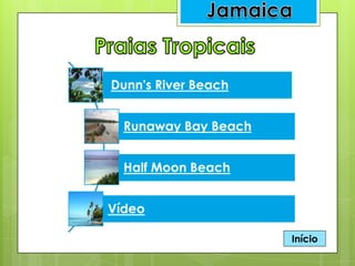 Dunn's River Beach
Runaway Bay Beach
Half Moon Beach
Vídeo
Início
 