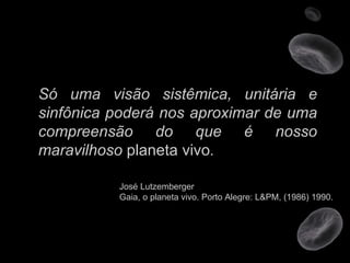 Só uma visão sistêmica, unitária e sinfônica poderá nos aproximar de uma compreensão do que é nosso maravilhoso  planeta vivo . José Lutzemberger Gaia, o planeta vivo. Porto Alegre: L&PM, (1986) 1990.  