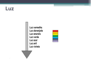 Luz
 