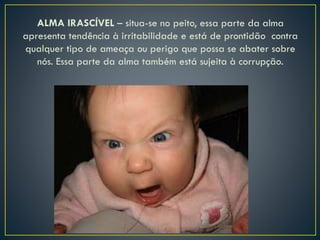 ALMA IRASCÍVEL – situa-se no peito, essa parte da alma
apresenta tendência à irritabilidade e está de prontidão contra
qualquer tipo de ameaça ou perigo que possa se abater sobre
nós. Essa parte da alma também está sujeita à corrupção.
 