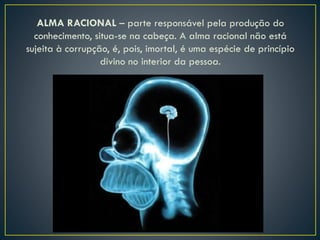 ALMA RACIONAL – parte responsável pela produção do
conhecimento, situa-se na cabeça. A alma racional não está
sujeita à corrupção, é, pois, imortal, é uma espécie de princípio
divino no interior da pessoa.
 
