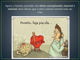 Agora, o homem, possuidor das almas concupiscente, irascível e
racional, deve deixar que a alma racional controle todo seu
viver.
 