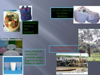 no a la cultura de
                        las bolsas
                         plásticas

usar bolsas
de tela u
otro
material




                    no a la deforestación
 evitar el uso de      irresponsable
 servilletas,
 pañuelos, papel
 higiénico u otra
 forma de papel
 