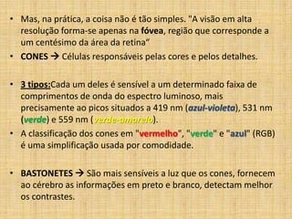 • Mas, na prática, a coisa não é tão simples. "A visão em alta
resolução forma-se apenas na fóvea, região que corresponde a
um centésimo da área da retina“
• CONES  Células responsáveis pelas cores e pelos detalhes.
• 3 tipos:Cada um deles é sensível a um determinado faixa de
comprimentos de onda do espectro luminoso, mais
precisamente ao picos situados a 419 nm (azul-violeta), 531 nm
(verde) e 559 nm (verde-amarelo).
• A classificação dos cones em "vermelho", "verde" e "azul" (RGB)
é uma simplificação usada por comodidade.
• BASTONETES  São mais sensíveis a luz que os cones, fornecem
ao cérebro as informações em preto e branco, detectam melhor
os contrastes.
 