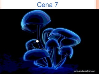 Cena 7
 