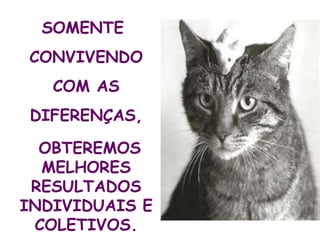 SOMENTE
CONVIVENDO
COM AS
DIFERENÇAS,
OBTEREMOS
MELHORES
RESULTADOS
INDIVIDUAIS E
COLETIVOS.
 