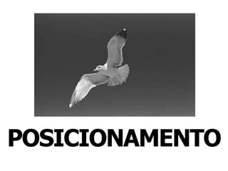 POSICIONAMENTO
 