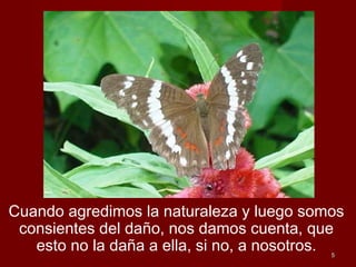 55
Cuando agredimos la naturaleza y luego somos
consientes del daño, nos damos cuenta, que
esto no la daña a ella, si no, a nosotros.
 