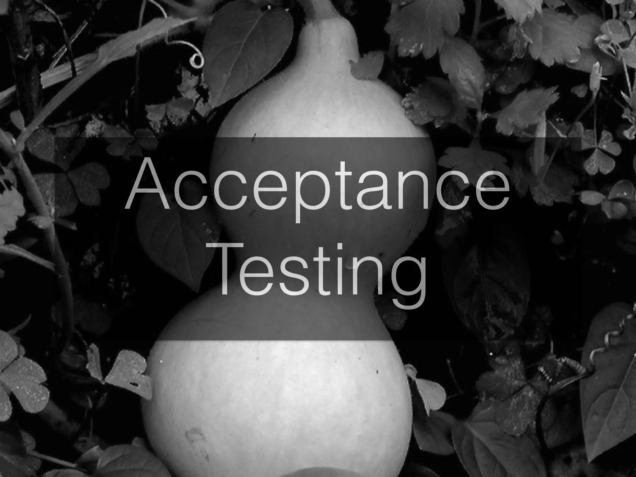 Acceptance
Testing
 