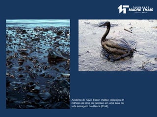 Acidente do navio Exxon Valdez, despejou 41
milhões de litros de petróleo em uma área de
vida selvagem no Alasca (EUA),
 