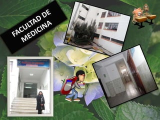 facultades undac tic