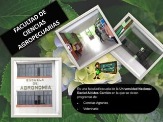 Es una facultad/escuela de la Universidad Nacional
Daniel Alcides Carrión en la que se dictan
programas de:
 Ciencias Agrarias
 Veterinaria
 