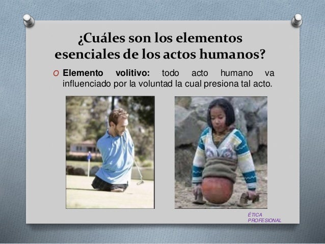 Ketoconazole ointment price