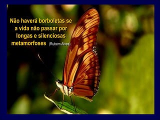 Não haverá borboletas se a vida não passar por longas e silenciosas metamorfoses(Rubem Alves)