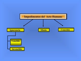 Miedo
Vencible
Invencible
Ignorancia Coacción
Impedimentos del Acto HumanoImpedimentos del Acto Humano
 