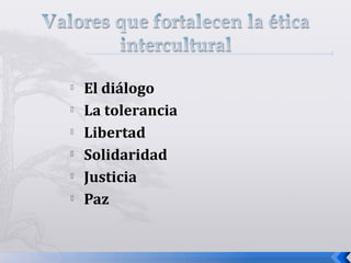  El diálogo
 La tolerancia
 Libertad
 Solidaridad
 Justicia
 Paz
 
