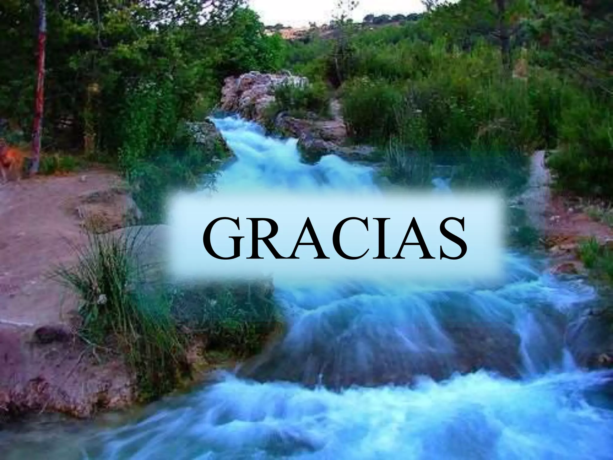 GRACIAS
 