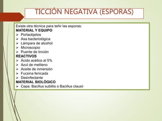 Existe otra técnica para teñir las esporas:
MATERIAL Y EQUIPO
 Portaobjetos
 Asa bacteriológica
 Lámpara de alcohol
 Microscopio
 Puente de tinción
REACTIVOS
 Ácido acético al 5%
 Azul de metileno
 Aceite de inmersión
 Fucsina fenicada
 Desinfectante
MATERIAL BIOLÓGICO
 Cepa: Bacillus subtilis o Bacillus clausii
TICCIÓN NEGATIVA (ESPORAS)
 