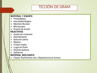 MATERIAL Y EQUIPO
 Portaobjetos
 Asa bacteriológica
 Mechero Bunsen
 Microscopio
 Puente de tinción
REACTIVOS
 Aceite de inmersión
 Desinfectante
 Solución salina
 Metano
 Cristal violeta
 Lugol de Gram
 Alcohol-acetona
 Safranina
MATERIAL BIOLOGICO
 Cepas: Escherichia coli y Staphylococcus aureus
TICCIÓN DE GRAM
 