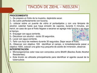 PROCEDIMIENTO
1.- Se prepara un frotis de la muestra, dejándola secar.
2.- Se cubre perfectamente con fucsina.
3.- colocar sobre un puente de vidrio el portaobjetos y con una lámpara de
alcohol, calentar hasta que haya emisión de vapores, durante 5 minutos, sin
hervir, en caso de que el frotis llegase a secarse se agrega más fuscina y se sigue
el tiempo.
4.- Enjuagar con agua corriente.
5.- Decolorar con alcohol – ácido 30 segundos.
6.- Lavar con agua corriente.
7.- Teñir con Azul de metileno durante 30 segundos. Dejar secar el frotis.
8.- Observar con objetivo 10X identificar el campo, e inmediatamente pasar a
objetivo 100X, colocar una gota muy pequeña de aceite de inmersión, observar.
INTERPRETACIÓN
 Microorganismos color rosa son conocidos como BAAR (Bacilos Ácido Alcohol
Resistentes).
 Esta tinción es utilizada principalmente para identificar el agente causal de la
tuberculosis
TINCIÓN DE ZIEHL – NEELSEN
 
