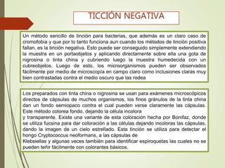 Un método sencillo de tinción para bacterias, que además es un claro caso de
cromofobia y que por lo tanto funciona aun cuando los métodos de tinción positiva
fallan, es la tinción negativa. Esto puede ser conseguido simplemente extendiendo
la muestra en un portaobjetos y aplicando directamente sobre ella una gota de
nigrosina o tinta china y cubriendo luego la muestra humedecida con un
cubreobjetos. Luego de esto, los microorganismos pueden ser observados
fácilmente por medio de microscopía en campo claro como inclusiones claras muy
bien contrastadas contra el medio oscuro que las rodea
TICCIÓN NEGATIVA
Los preparados con tinta china o nigrosina se usan para exámenes microscópicos
directos de cápsulas de muchos organismos, los finos gránulos de la tinta china
dan un fondo semiopaco contra el cual pueden verse claramente las cápsulas.
Este método colorea fondo, dejando la célula incolora
y transparente. Existe una variante de esta coloración hecha por Bonifaz, donde
se utiliza fucsina para dar coloración a las células dejando incoloras las cápsulas,
dando la imagen de un cielo estrellado. Esta tinción se utiliza para detectar el
hongo Cryptococcus neoformans, a las cápsulas de
Klebsiellas y algunas veces también para identificar espiroquetas las cuales no se
pueden teñir fácilmente con colorantes básicos.
 