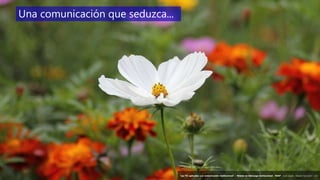 52
‘Las TIC aplicadas a la comunicación institucional’ – Máster en liderazgo institucional - INAP - Jordi Graells – Madrid 16,03,2021 - CC0
Una comunicación que seduzca...
‘Las TIC aplicadas a la comunicación institucional’ – Máster en liderazgo institucional - INAP - Jordi Graells – Madrid 16,03,2021 - CC0
 