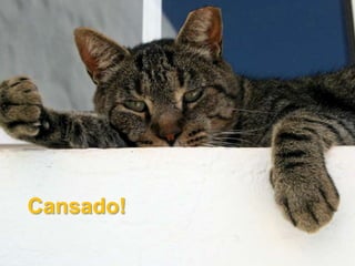 Cansado!