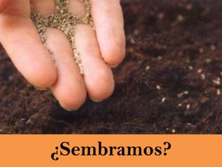 ¿Sembramos?

 