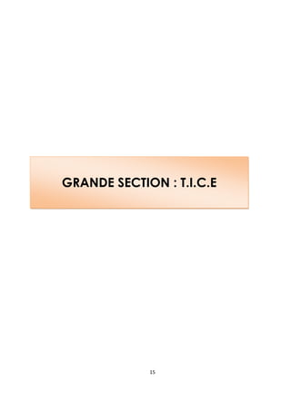 GRANDE SECTION : T.I.C.E




             15
 