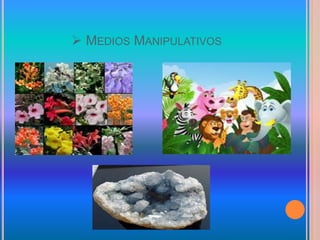  MEDIOS MANIPULATIVOS
 