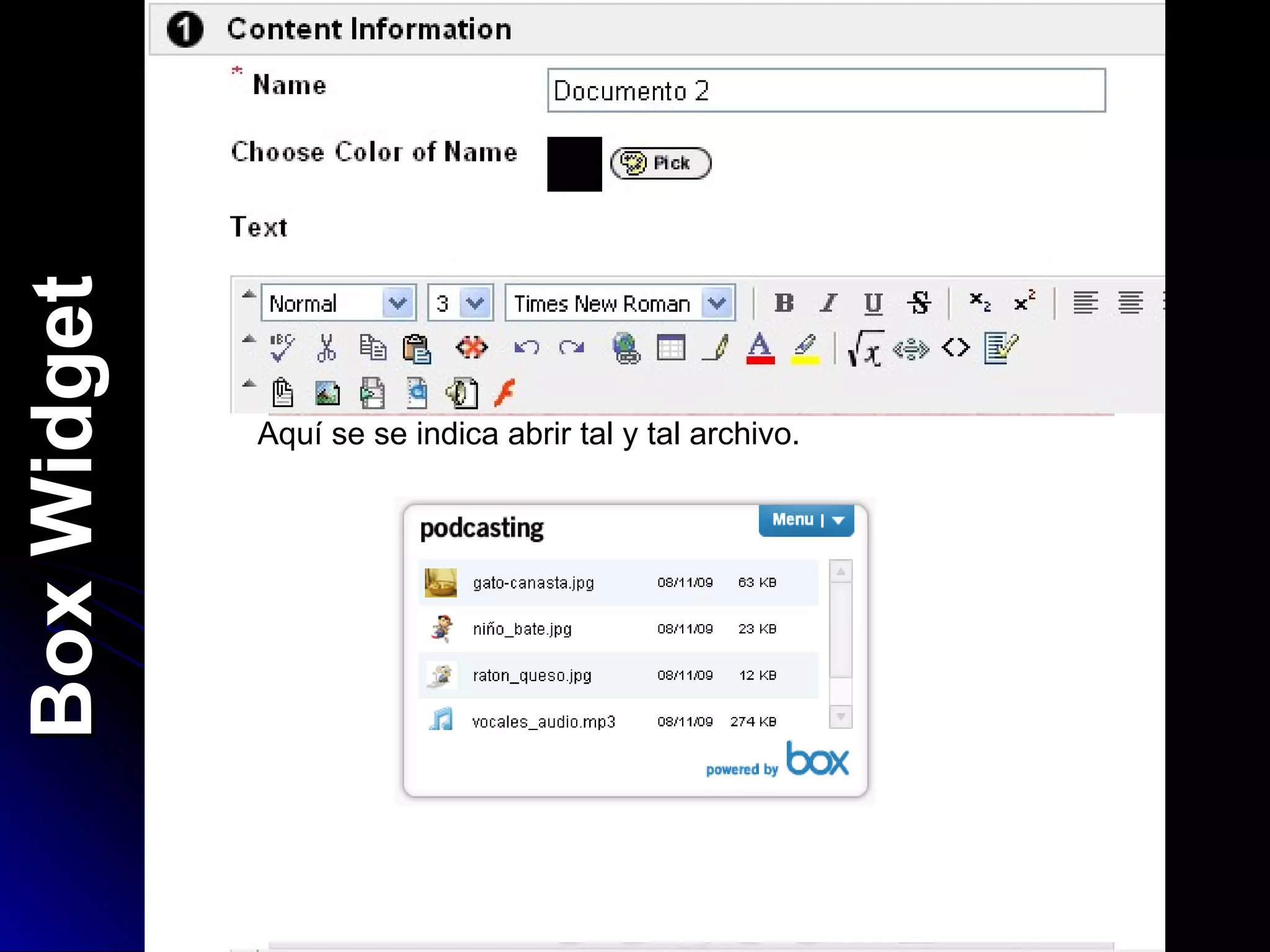 Box Widget Aquí se se indica abrir tal y tal archivo. 