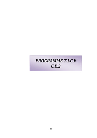 PROGRAMME T.I.C.E
     C.E.2




      33
 