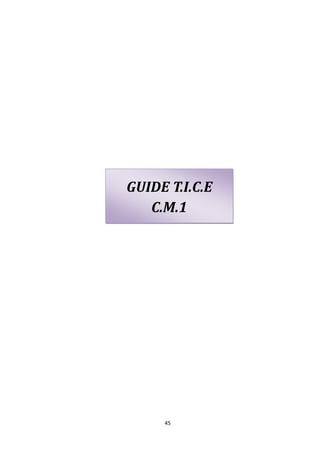 GUIDE T.I.C.E
   C.M.1




     45
 