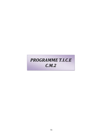 PROGRAMME T.I.C.E
     C.M.2




        51
 