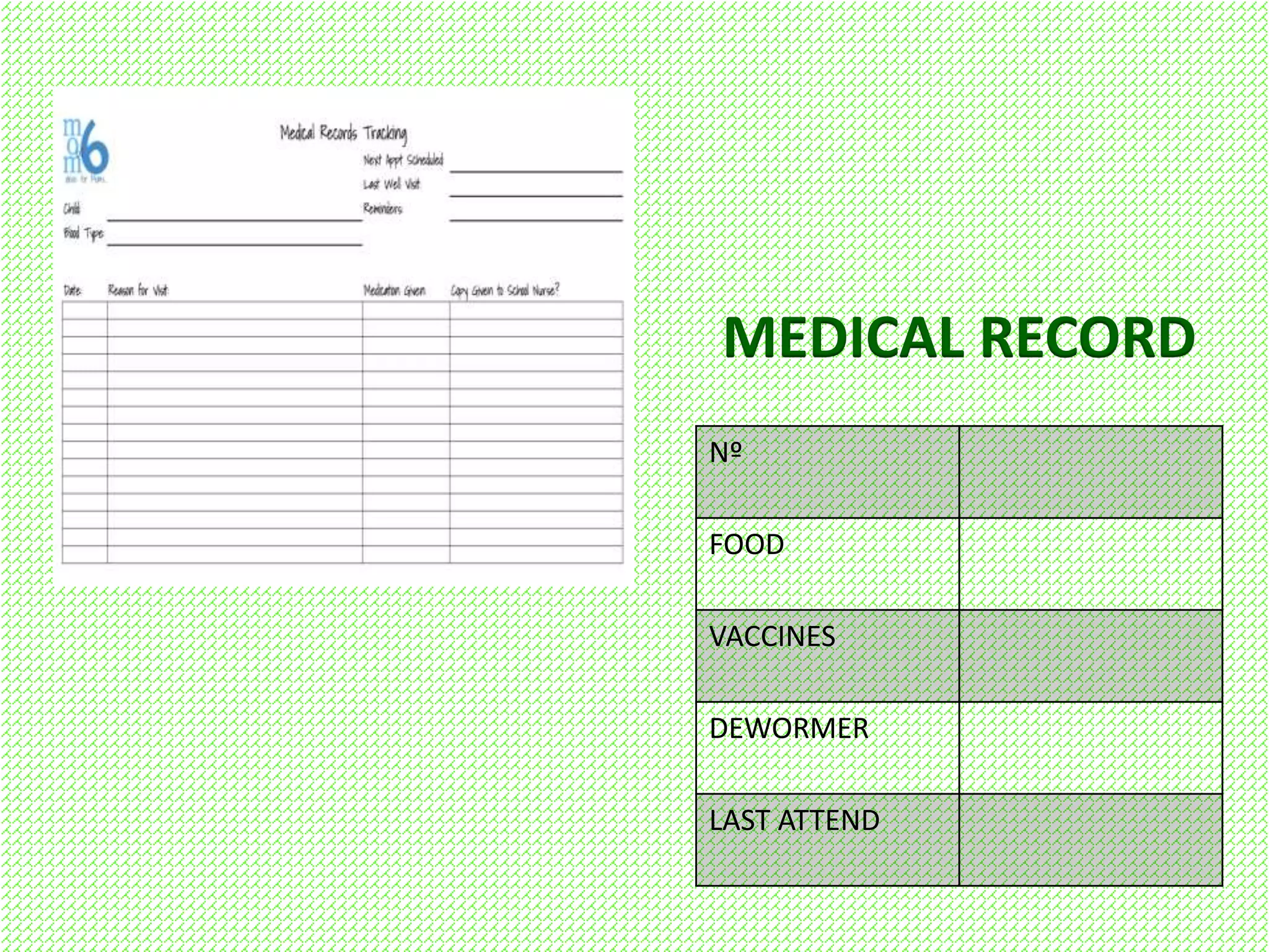 MEDICAL RECORD
Nº
FOOD
VACCINES
DEWORMER
LAST ATTEND