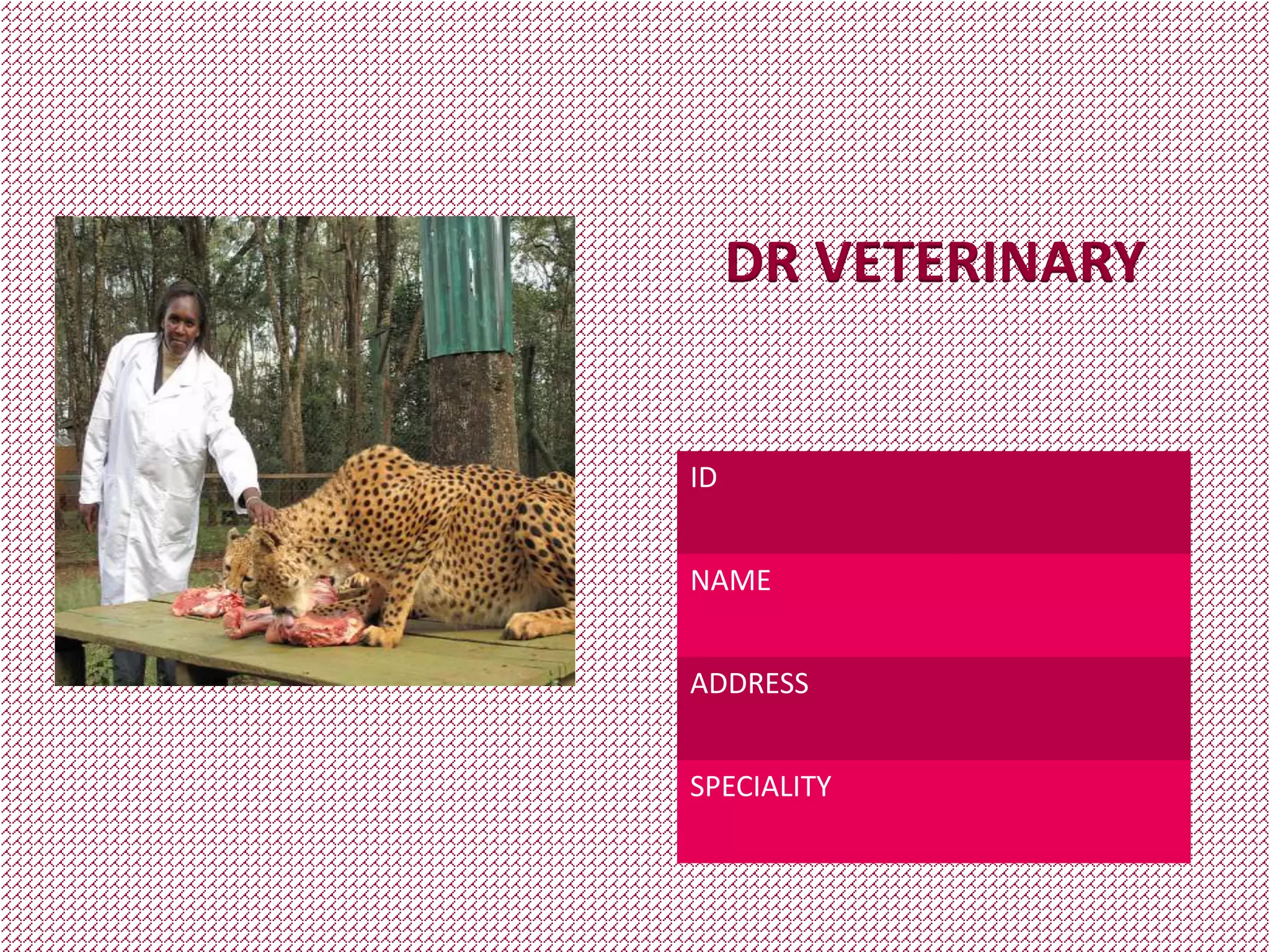 DR VETERINARY
ID
NAME
ADDRESS
SPECIALITY