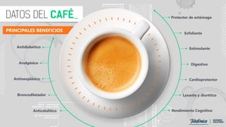 PRINCIPALES BENEFICIOS
Antidiabético
Analgésico
Antineoplásico
Broncodilatador
Anticelulítico
Protector de estómago
Exfoliante
Estimulante
Digestivo
Cardioprotector
Laxante y diurético
Rendimiento Cognitivo
 