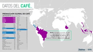 PRODUCCION GLOBAL DE CAFÉ
2014/2015 Miles de sacos (60 kg)
Brasil es el mayor consumidor de café
de entre los países exportadores,
con 20,8 millones de sacos en 2014,
seguido de Indonesia (4,2 millones),
Etiopía (3,7 millones) y México (2,4 millones)
Brasil 45 342
Vietnam 27 500
Colombia 12 500
Indonesia 9 350
Etiopia 6 625
India 5 517
Honduras 5 400
México 3 900
Uganda 3 800
Guatemala 3 500
Perú 2 883
Côte d'Ivoire 2 175
Nicaragua 2 050
Costa Rica 1 508
Tanzania 1 030
Kenya 850
Papua New Guinea 798
El Salvador 680
Venezuela 660
Ecuador 644
Madagascar 518
Lao, People's Dem. Rep. of 500
Thailand 494
Cameroon 475
República Dominicana 400
Haití 350
República Dem. del Congo 335
Ruanda 258
Burundi 252
Filipinas 200
Yemen 185
Guinea 150
Bolivia 106
Timor-Leste 104
Cuba 100
Togo 100
República Centroafricana 95
Panamá 95
Sierra Leona 50
Ghana 40
Nigeria 40
Angola 39
Sri Lanka 36
Paraguay 20
Jamaica 20
Malawi 16
Zimbabwe 12
Liberia 10
Trinidad & Tobago 10
Congo, Rep. of 3
Zambia 3
Nepal 2
Gabón 1
Guayana 1
Brasil 45 342
Vietnam 27 500
Colombia 12 500
Indonesia 9 350
Etiopía 6 625
Guatemala 3500
Nicaragua 2 050
Costa Rica 1 508
El Salvador 680
Panamá 95
 