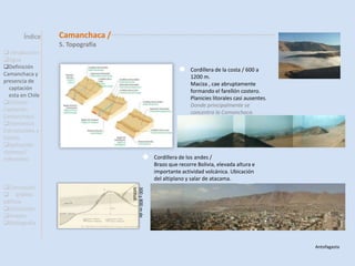  bibliografía  Profesores: Juan Luis Ramírez/Alfredo  Iturriaga        Alumnas/ Pamela Otarola C./ Natalia Pérez R.