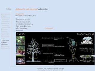 Definición Camanchaca y presencia de     captaciónesta en ChileSistema Captación Camanchaca