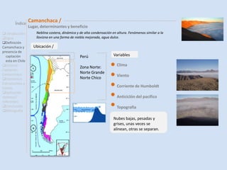 Elementos Estructurales y Costos
