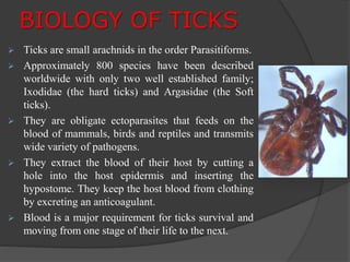 BIOLOGY OF TICKS 
 Ticks are small arachnids in the order Parasitiforms. 
 Approximately 800 species have been described 
worldwide with only two well established family; 
Ixodidae (the hard ticks) and Argasidae (the Soft 
ticks). 
 They are obligate ectoparasites that feeds on the 
blood of mammals, birds and reptiles and transmits 
wide variety of pathogens. 
 They extract the blood of their host by cutting a 
hole into the host epidermis and inserting the 
hypostome. They keep the host blood from clothing 
by excreting an anticoagulant. 
 Blood is a major requirement for ticks survival and 
moving from one stage of their life to the next. 
 