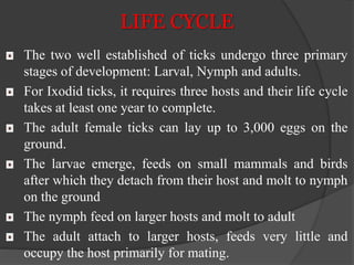 LIFE CYCLE 
The two well established of ticks undergo three primary 
stages of development: Larval, Nymph and adults. 
For Ixodid ticks, it requires three hosts and their life cycle 
takes at least one year to complete. 
The adult female ticks can lay up to 3,000 eggs on the 
ground. 
The larvae emerge, feeds on small mammals and birds 
after which they detach from their host and molt to nymph 
on the ground 
The nymph feed on larger hosts and molt to adult 
The adult attach to larger hosts, feeds very little and 
occupy the host primarily for mating. 
 