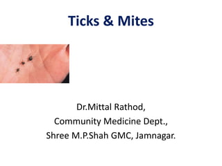 Ticks & Mites
Dr.Mittal Rathod,
Community Medicine Dept.,
Shree M.P.Shah GMC, Jamnagar.
 