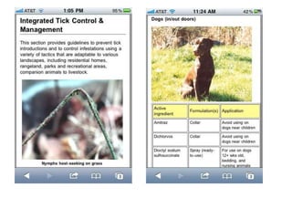 Lawrence Graham, Auburn University