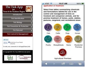 Anthony Schuster, TAMU