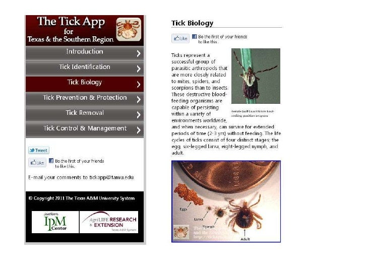 Tick App