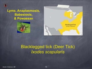 13
Blacklegged tick (Deer Tick)
Ixodes scapularis
Lyme, Anaplasmosis,
Babesiosis,
& Powassan
Daniel J Anderson, MD
 