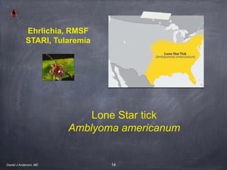 14
Lone Star tick
Amblyoma americanum
Ehrlichia, RMSF
STARI, Tularemia
Daniel J Anderson, MD
 