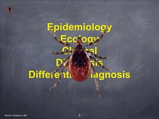 3
Epidemiology
Ecology
Clinical
Diagnosis
Differential Diagnosis
Daniel J Anderson, MD
 